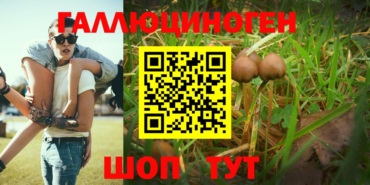 Галлюциногенные грибы мицелий  Вход с VPN  где купить   Черкесск 